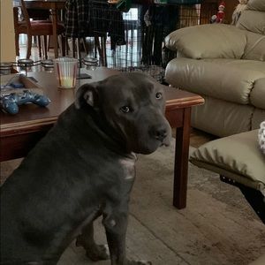 Meet your Posher, Patrick